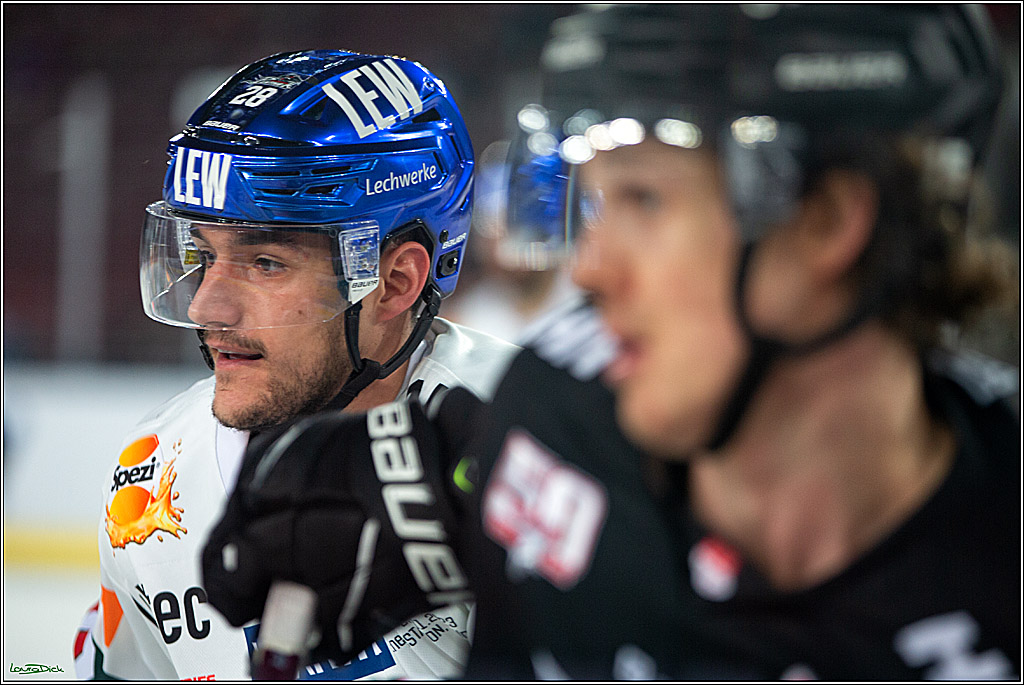 PENNY DEL; Koelner Haie- Augsburger Panther; Koeln, 08.01.2023